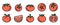 Tomato icons set vector flat