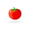 Tomato isolated single simple cartoon illustration