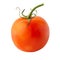 Tomato isolated on a white background, full depth of field, no shadow, poison for design