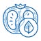 Tomato Leaf doodle icon hand drawn illustration