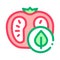 Tomato Leaf Icon Vector Outline Illustration