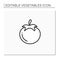 Tomato line icon