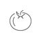 Tomato line icon or vegetable concept