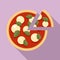 Tomato mozzarella pizza icon, flat style