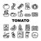 Tomato Natural Bio Ingredient Icons Set Vector