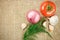 Tomato onion and garlic vegetables on sacking background texture