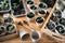 Tomato and pepper seedlings in peat cups