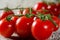 Tomato in a random arrangement on wood with rustic patina