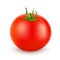Tomato realistic isolated on white. Vector illustration