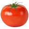 Tomato realistic. vector illustration