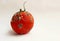 The tomato is red spoiled on a white background. Spoiled tomato. A tomato with mold. Rotten tomato. Copy space