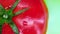 Tomato rotates on a green background. top view. Closeup.