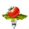 Tomato with salad on fork isolated