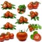 Tomato Sampler