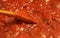 tomato sauce close-up