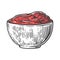 Tomato sause plate. Vector engraved illustration on white background