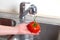 Tomato in the sink