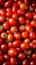 Tomato solanum lycopersicum pile for sale at the market