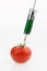 Tomato with a syringe. Photo icon genetic tomatoes