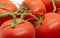 Tomato texture background. Top view. Fresh cherry tomatoes pattern. Heap of tomato