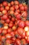 Tomato. Tomatoes. Organic fruits. Salad