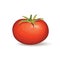 Tomato. Vegetable logo. Vector illustration of naural product