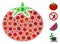 Tomato Vegetable Mosaic of Covid Virus Items