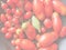 Tomato vegetable, soft faded tone background