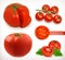 Tomato. Vegetable vector icon set