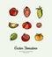 Tomato vegetable vector isolated set. Red yellow green whole cutted sliced tomatoes. Vegetables hand drawn illustration