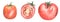 Tomato Vegetables Clipart, Watercolor tomato slice illustration set, Healthy Food clip art, Organic Kitchen Clipart, Garden Plants