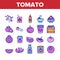 Tomato Vegetarian Food Collection Icons Set Vector