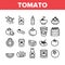 Tomato Vegetarian Food Collection Icons Set Vector