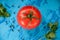 Tomato whith whater drops over on blue background