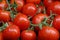 tomatoes pictures
