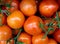 Tomatoes background close up