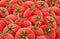 Tomatoes background. Red tomato texture.