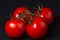 Tomatoes on a black background. Tomatoes on a vine on a dark background.