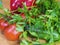 Tomatoes, bulgarian pepper, cucumbers and parsley