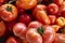 tomatoes, different varieties from home garden - real photo from harvest