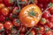 tomatoes, different varieties from home garden - real photo from harvest