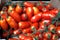 Tomatoes on display at Borough Market