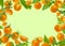Tomatoes frame. Flying ripe fresh yellow orange tomatoes with green leaves on green background flat lay. Cherry tomatoes.