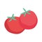 tomatoes fresh vegetable food icon isolated design