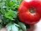 Tomatoes and greens lying next on the cutting board.