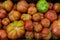 Tomatoes group as a background