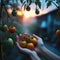 Tomatoes hanging from the vine in the blue hour