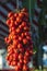 Tomatoes in italian food market