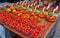 Tomatoes at the Jean-Talon Market