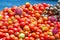 Tomatoes, longans and rambutans